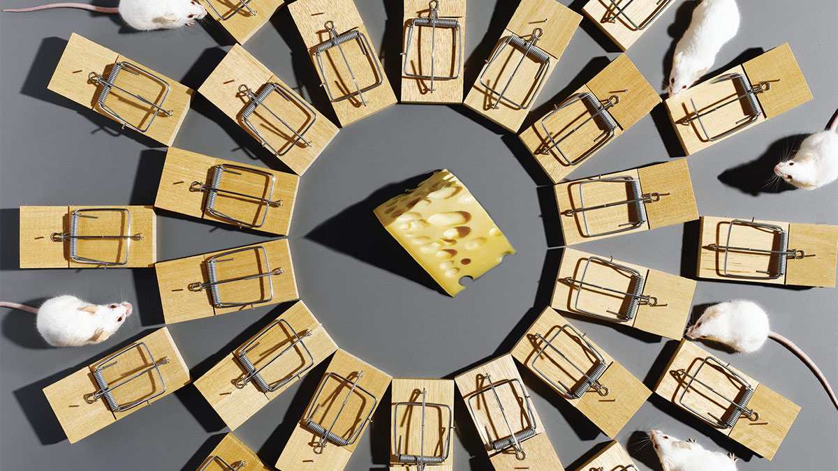 你的風險管理錯了嗎？