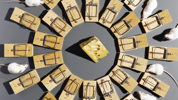 你的風險管理錯了嗎？