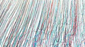 資料科學對你沒價值？