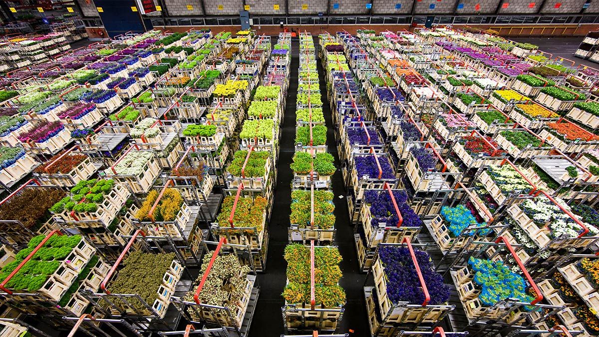 奢侈品電商在虧損中掙扎，荷蘭的「反向降價拍賣」帶來啟示 