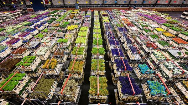 奢侈品電商在虧損中掙扎，荷蘭的「反向降價拍賣」帶來啟示 