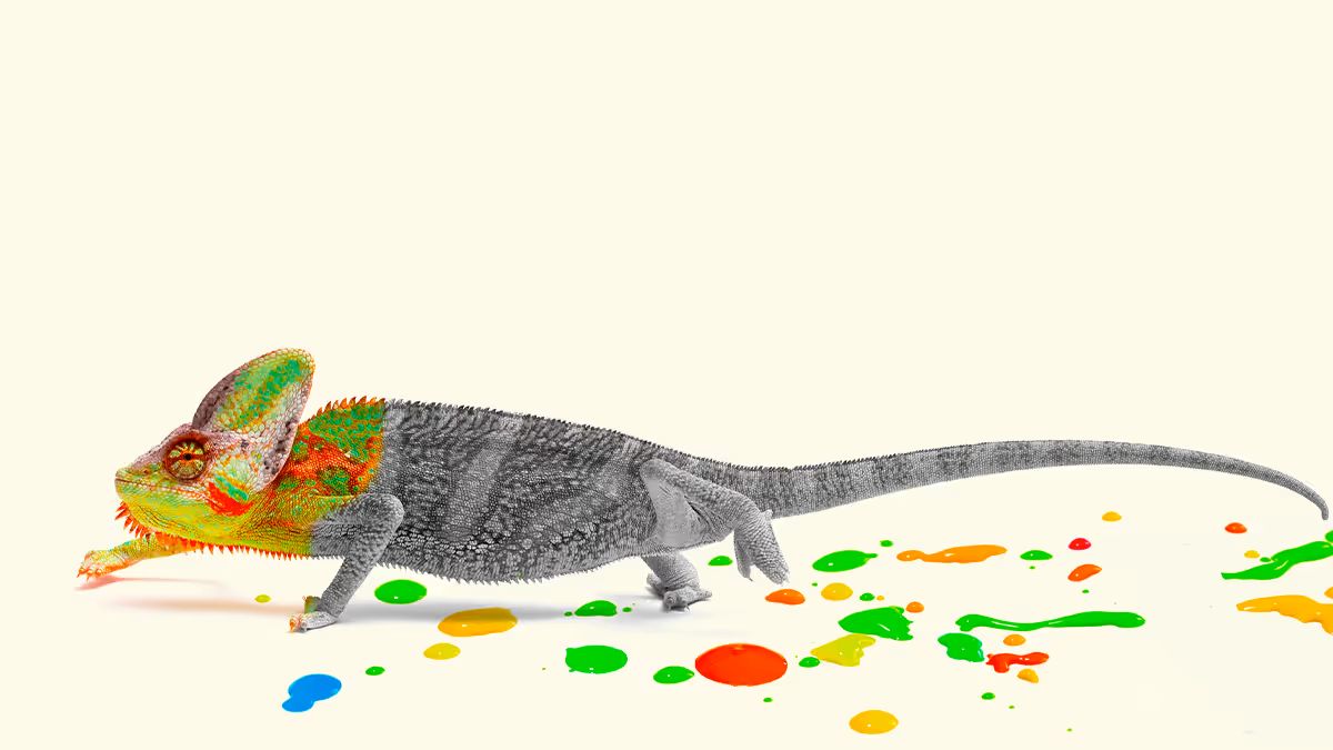 戰將變庸才？組織體制不修正，新領導人變革難施拳腳