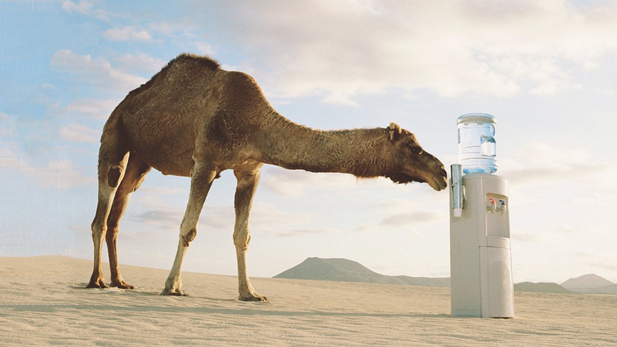 準備好更換目標顧客了嗎？