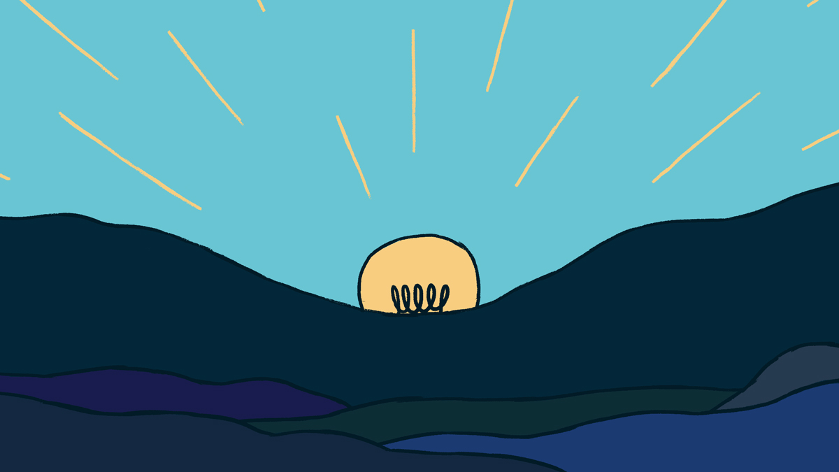 為何某些矽谷公司如此成功?