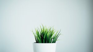 讓疫後成為新創事業好時機