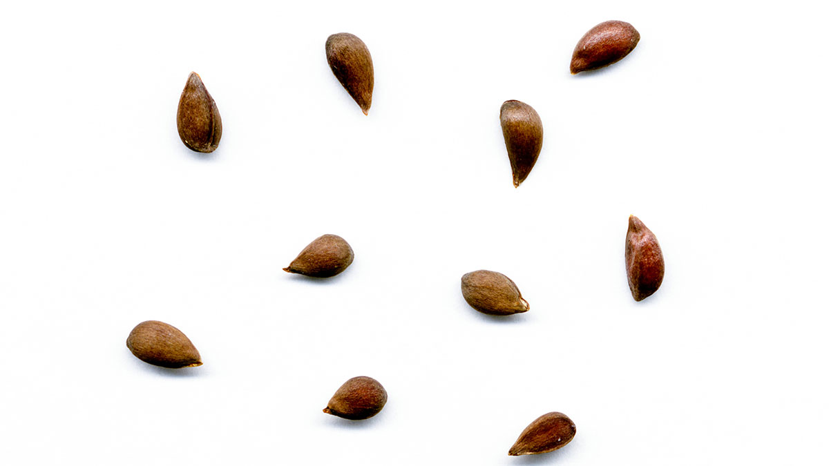 規畫你今年的專業發展