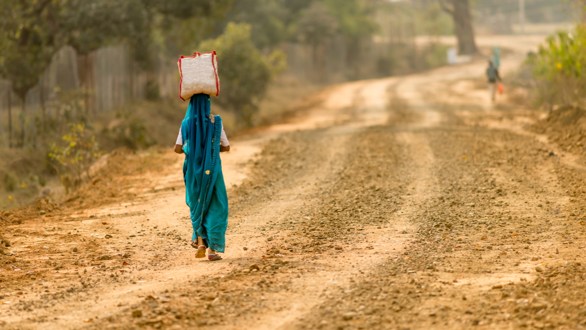 農業創新協助印度偏鄉轉型