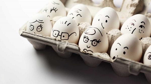 重要會議漏了你，該如何回應？