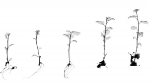 創業能量不因公司成長而消失》留住新創企業的靈魂