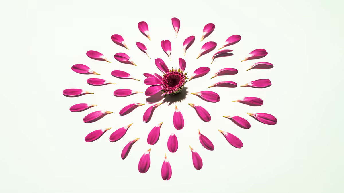 我擁有的明星人脈，竟成職涯絆腳石？