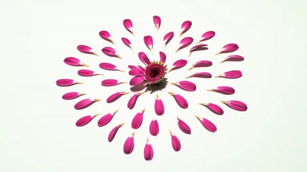 我擁有的明星人脈，竟成職涯絆腳石？