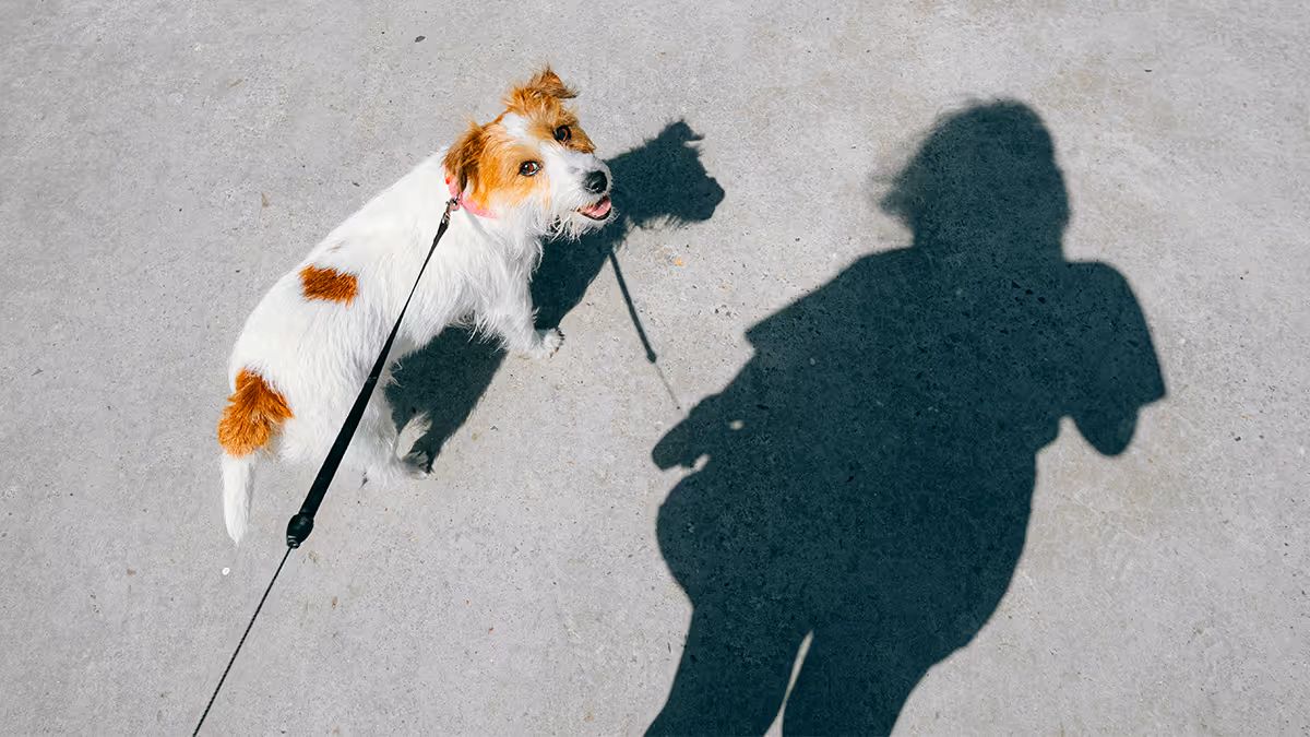 全體一條心拚轉型！挪威最大銀行靠「隨行見習」打破部門本位