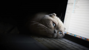 別在半夜時還想著工作的事