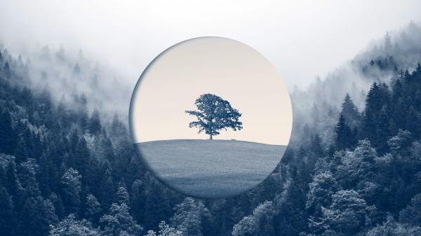 走出停滯的三步指南：成熟企業如何重啟成長動能