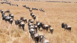 物聯網如何改變商業模式