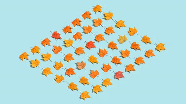 當心「自我中心」盲點！領導人別把自己的標準當量尺