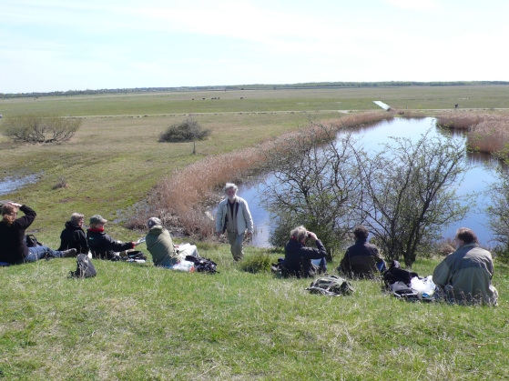 瑞典人不靠子女照顧,人人都有權利安心變老_img_6