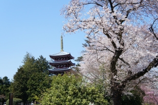 【潮熟日本專欄】日本熟齡美妝風潮:不再抗老 襯托「加齡」韻味才是趨勢_img_6