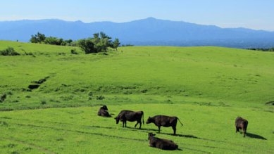 內行人才知道,日本樂天訂房網站精選熟齡旅行10大熱門景點_img_4