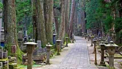 內行人才知道,日本樂天訂房網站精選熟齡旅行10大熱門景點_img_6