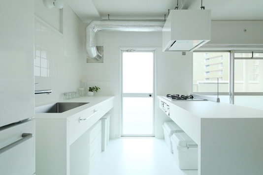 兩列廚房01 大空間