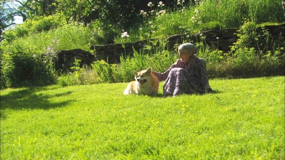 【塔莎杜朵，一個人的田園生活】劇照(5)