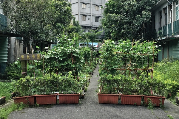 【綠主張】共托、共食、共耕，台北這個社區讓老人不再孤獨老去_img_1