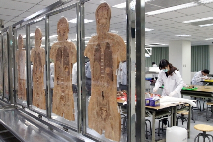 《那個靜默的陽光午後》 (2).JPG