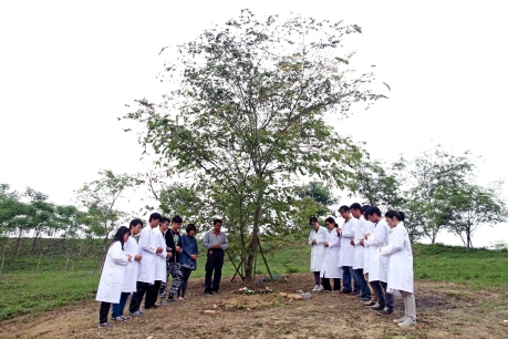 《那個靜默的陽光午後》 (3).JPG