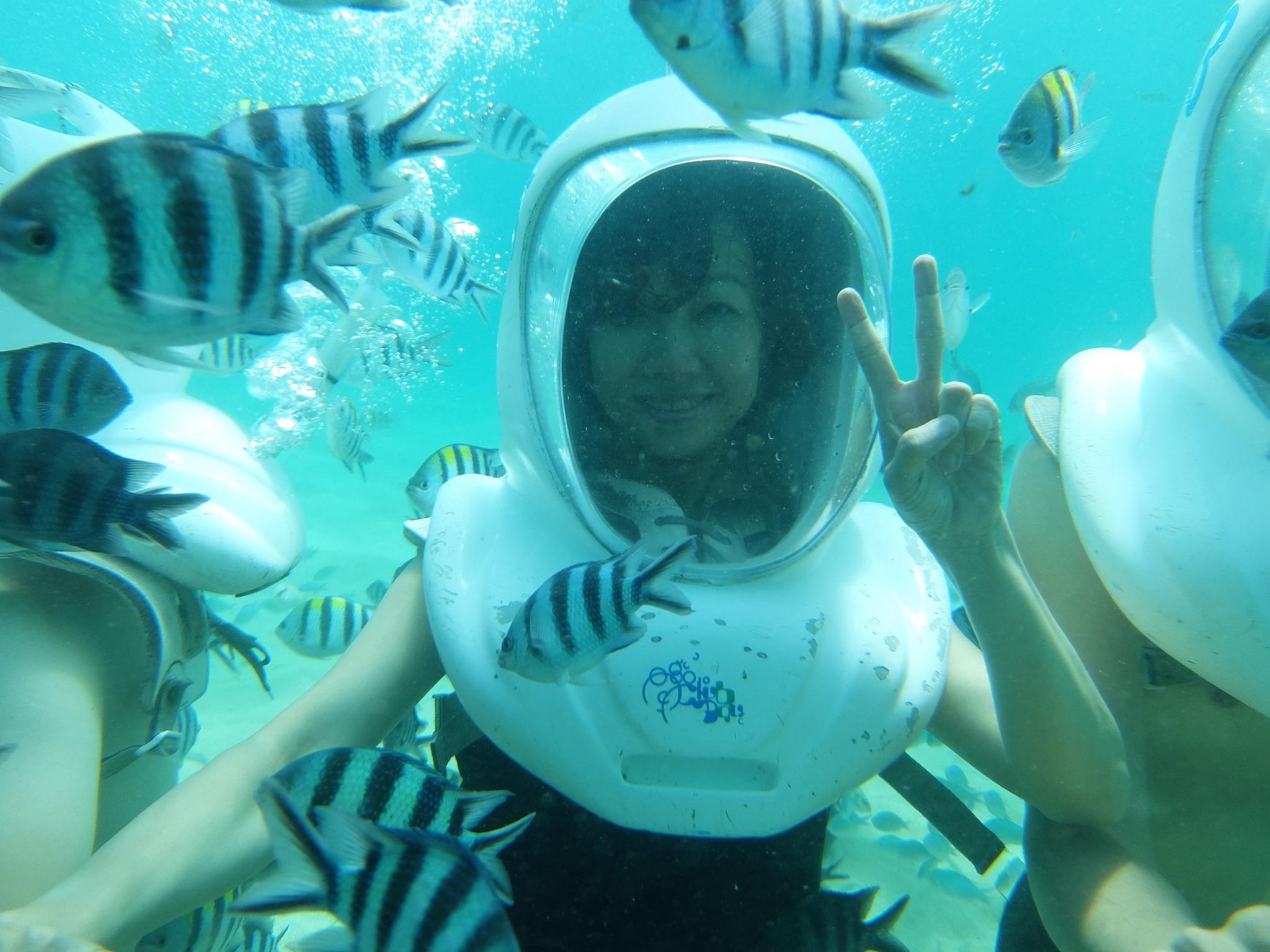 丁菱娟：50歲後華麗轉身，迎向更燦爛的第三人生_img_4