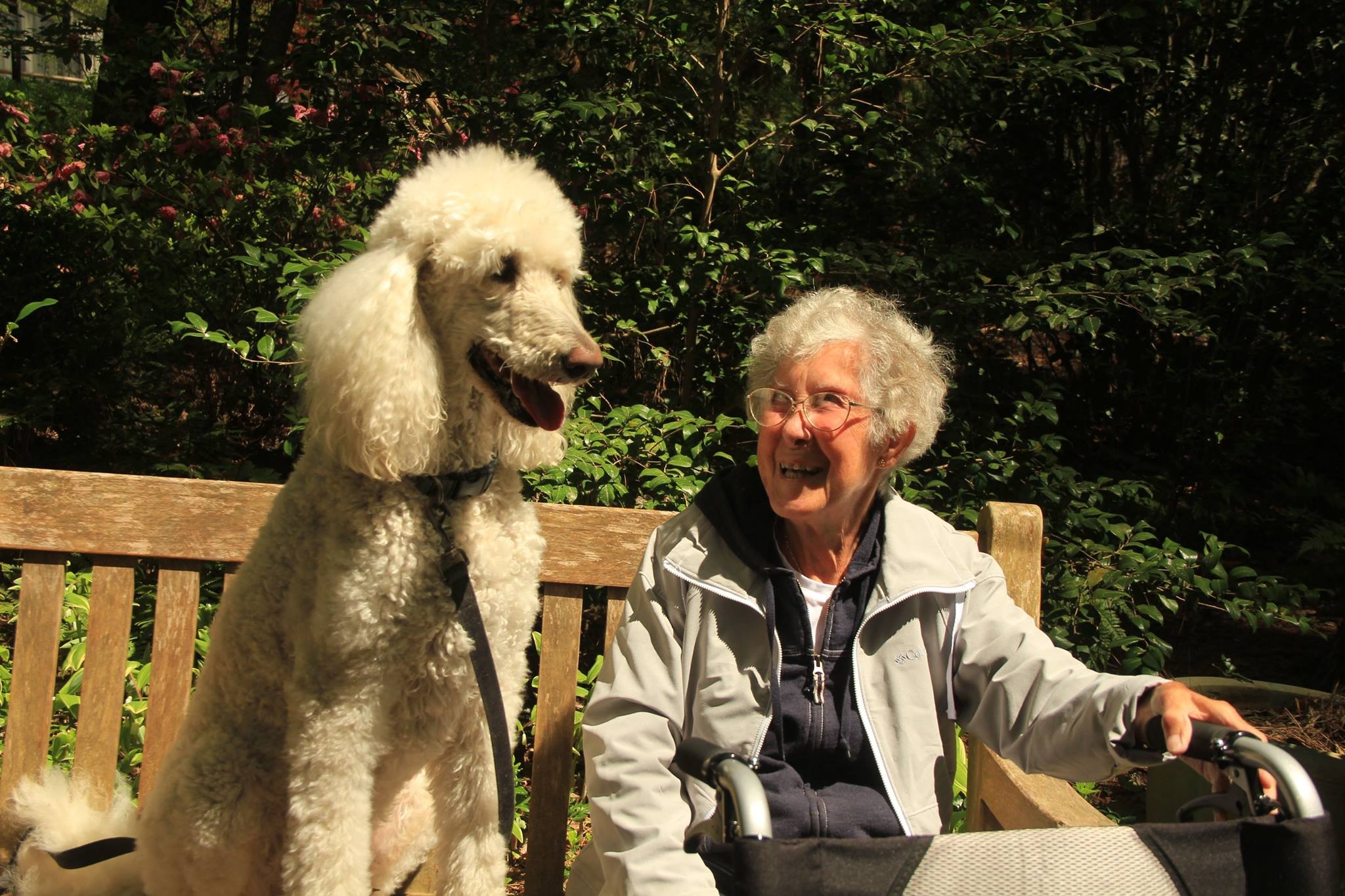 90歲癌末諾瑪奶奶:放棄化療,我該上路去玩了!_img_3