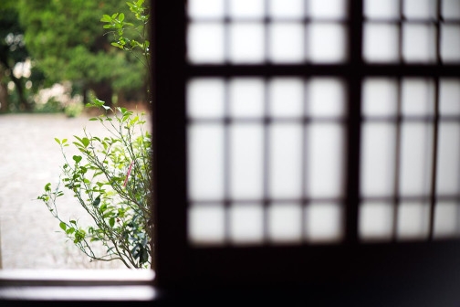 走回青春!一日可完成的北投小山旅行_img_14