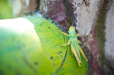 走回青春!一日可完成的北投小山旅行_img_4