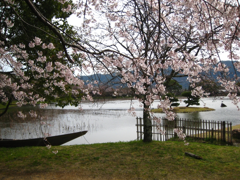 預算不多、日語不好，59歲的他如何完成京都留學夢？_img_5