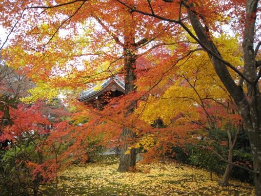 預算不多、日語不好，59歲的他如何完成京都留學夢？_img_4