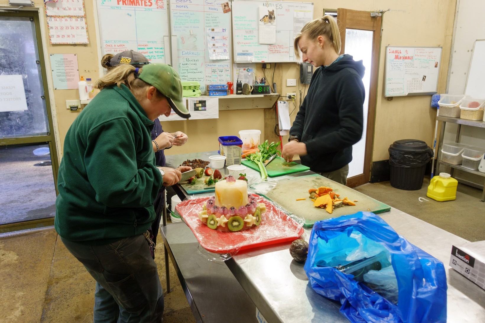 【梁旅珠專欄】和野生動物的超親密接觸,澳洲一日動物管理員之旅_img_1