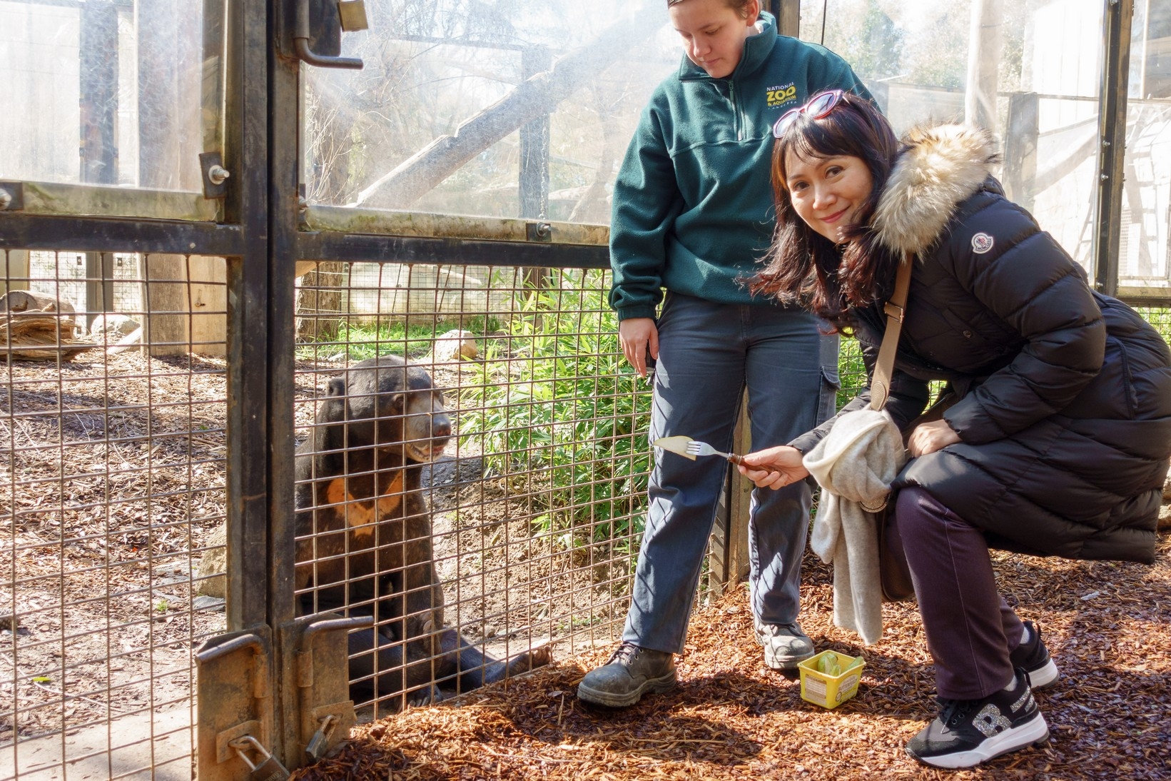 【梁旅珠專欄】和野生動物的超親密接觸,澳洲一日動物管理員之旅_img_3