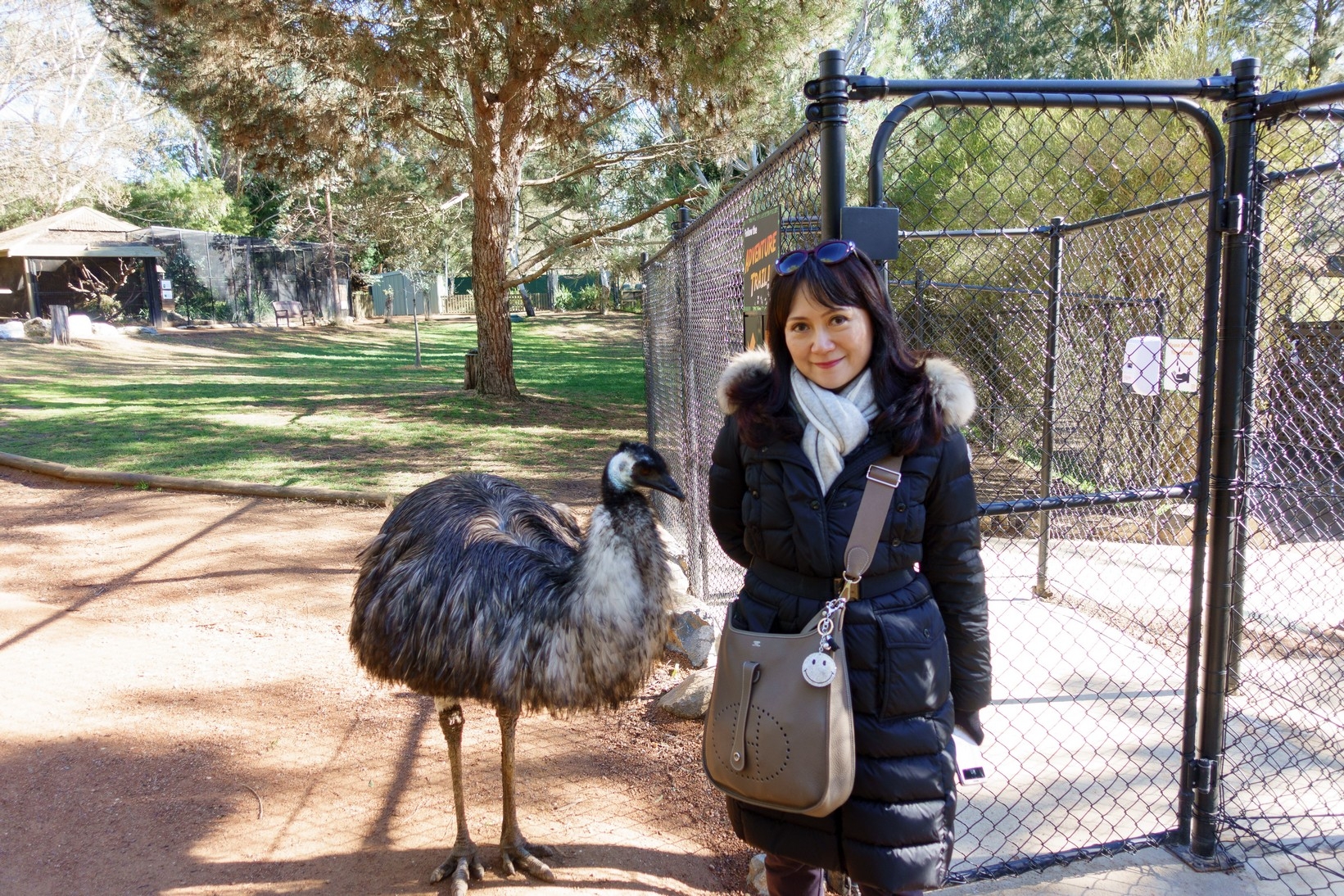 【梁旅珠專欄】和野生動物的超親密接觸,澳洲一日動物管理員之旅_img_7