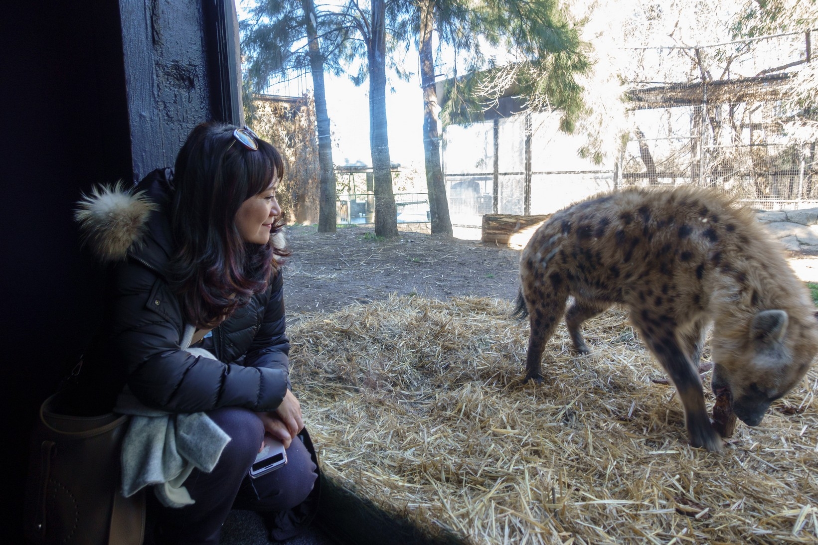 【梁旅珠專欄】和野生動物的超親密接觸,澳洲一日動物管理員之旅_img_9