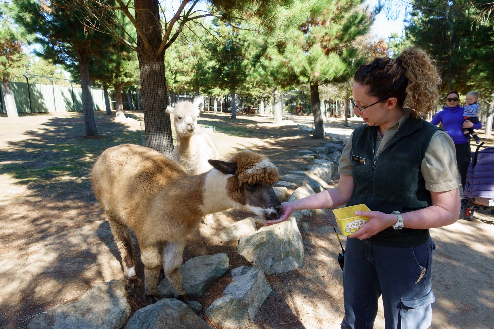 【梁旅珠專欄】和野生動物的超親密接觸,澳洲一日動物管理員之旅_img_13