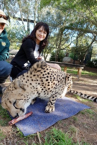 【梁旅珠專欄】和野生動物的超親密接觸,澳洲一日動物管理員之旅_img_19