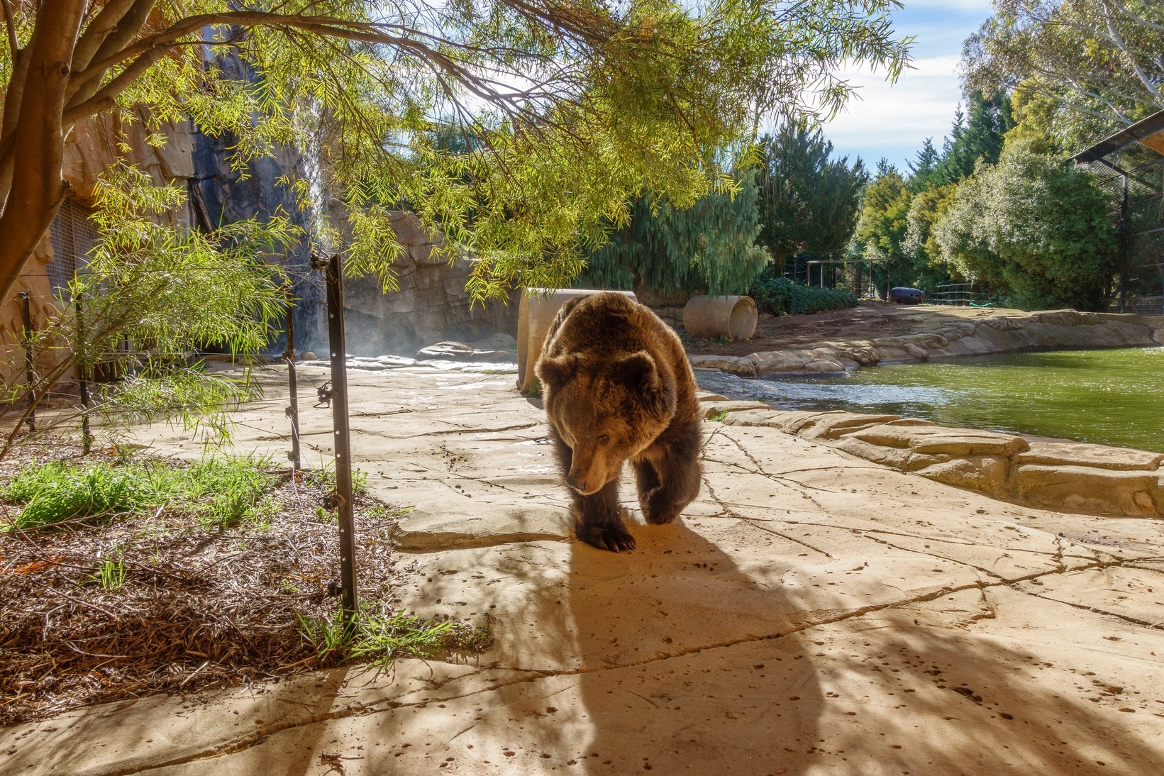 【梁旅珠專欄】和野生動物的超親密接觸,澳洲一日動物管理員之旅_img_21