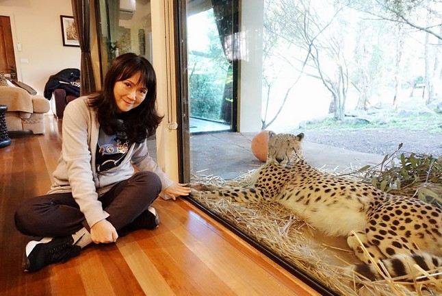 【梁旅珠專欄】和野生動物的超親密接觸,澳洲一日動物管理員之旅_img_29