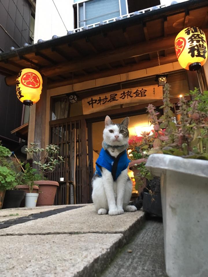 放鬆身心，適合姊妹作伴出遊的日本小旅行_img_4