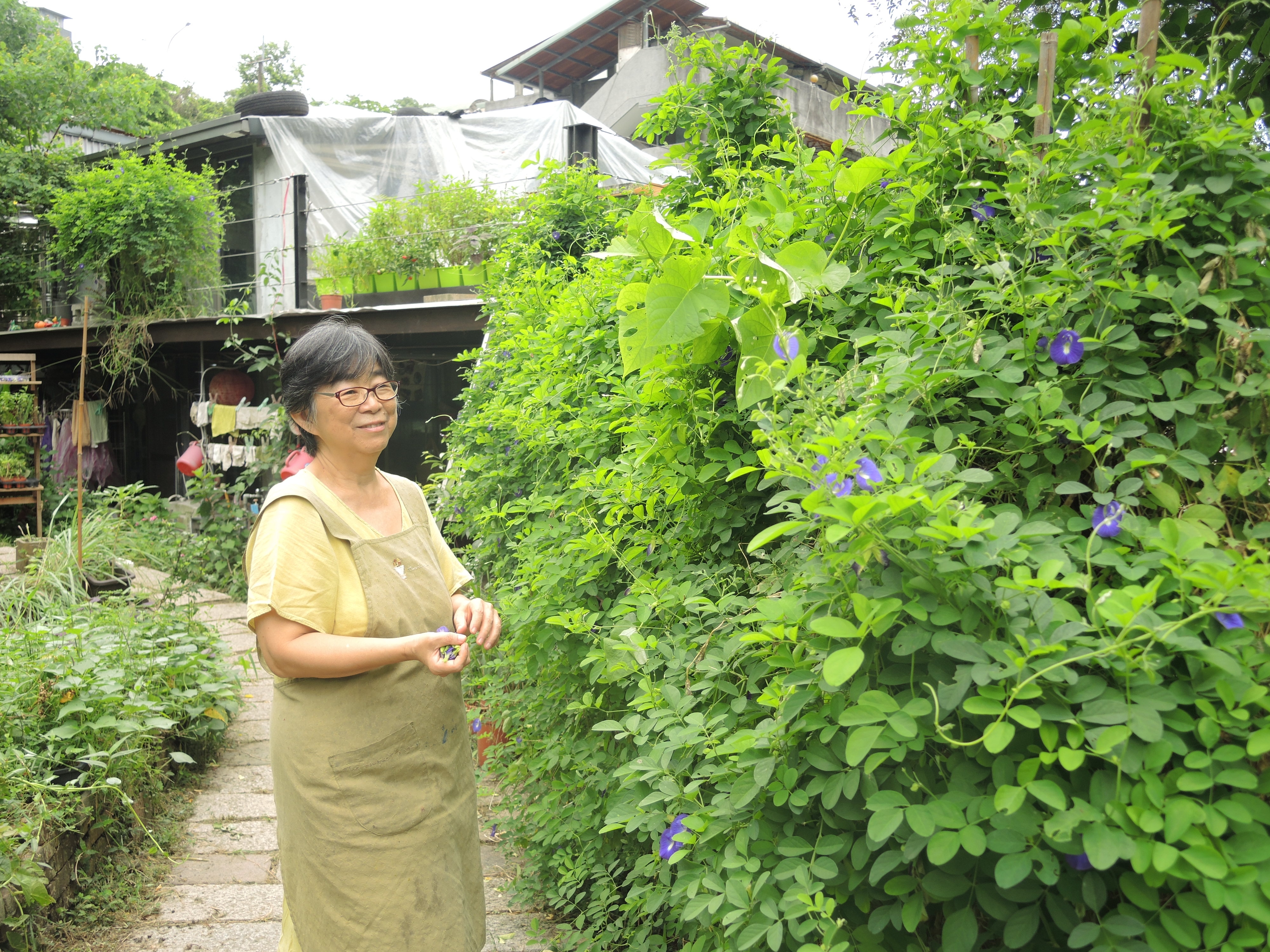 讓花草陪伴我們生活，50後療癒身心的園藝治療法_img_1