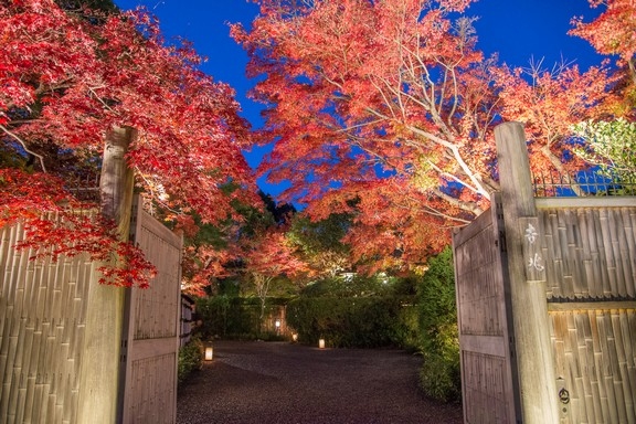 【梁旅珠專欄】京都極致霜月美食：松茸和松葉蟹_img_1