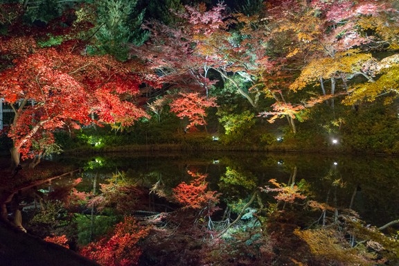 【梁旅珠專欄】京都極致霜月美食：松茸和松葉蟹_img_6