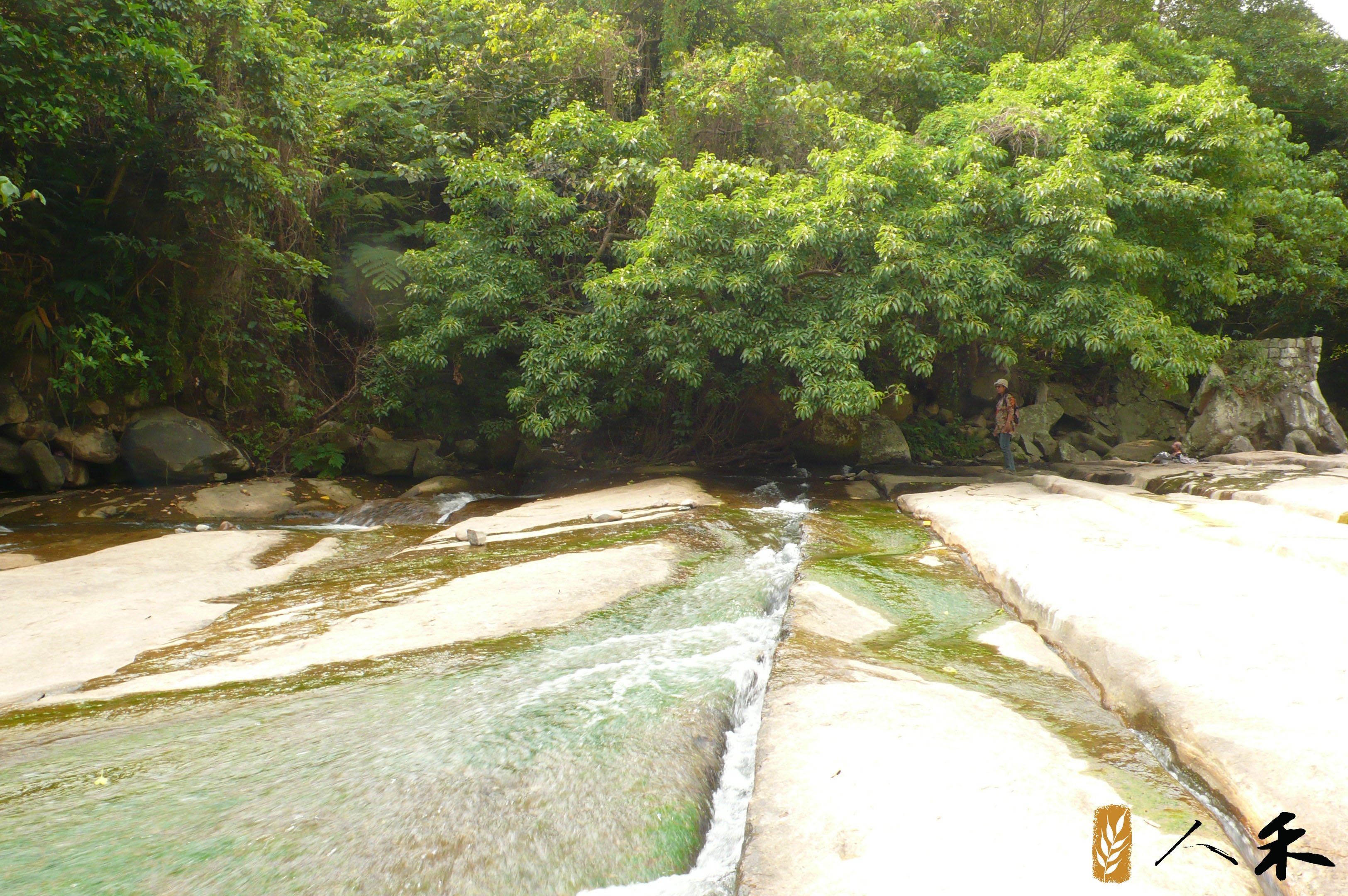 搭公車就能抵達，台北近郊自然小旅行路線_img_2