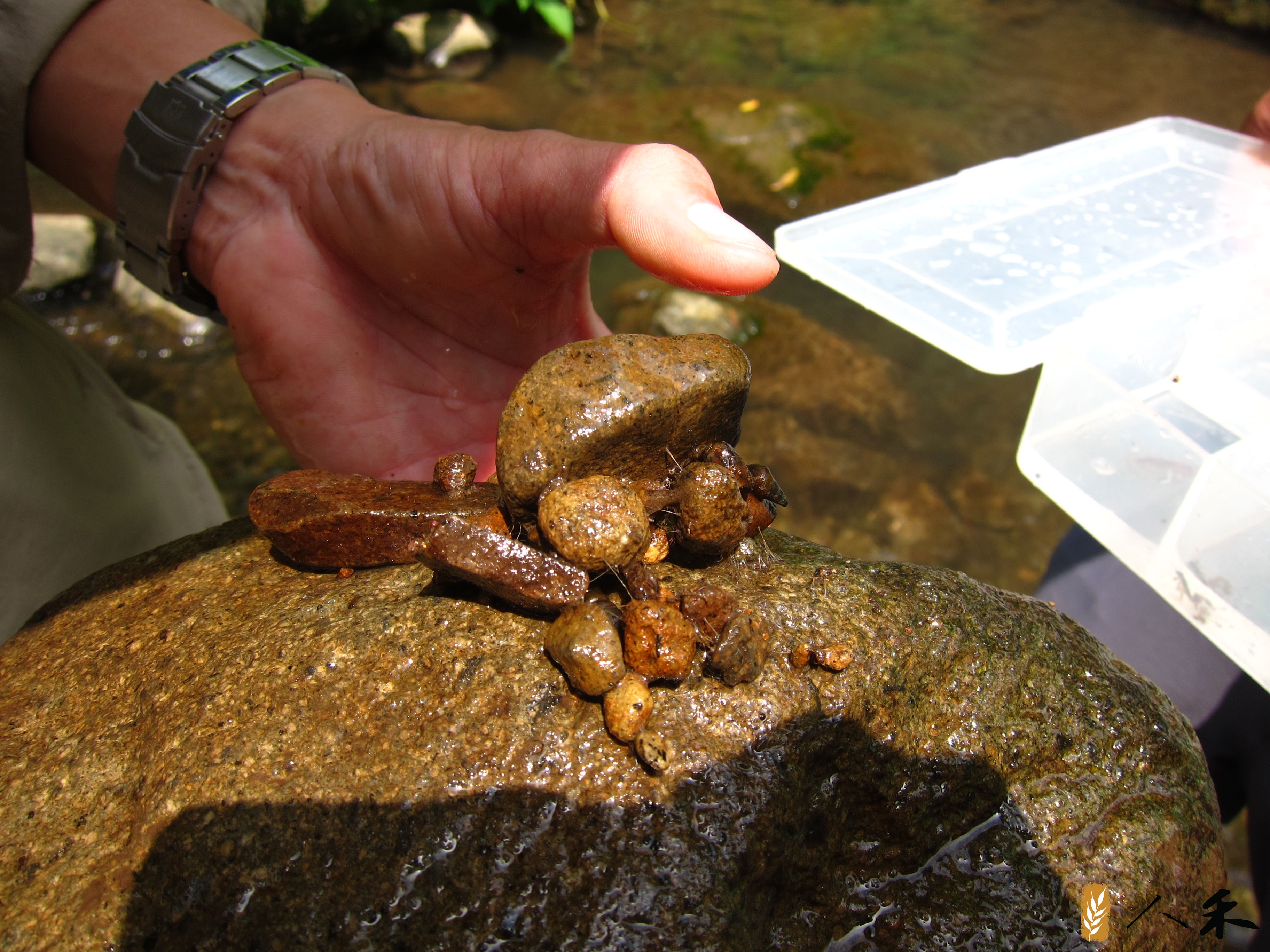 搭公車就能抵達，台北近郊自然小旅行路線_img_5