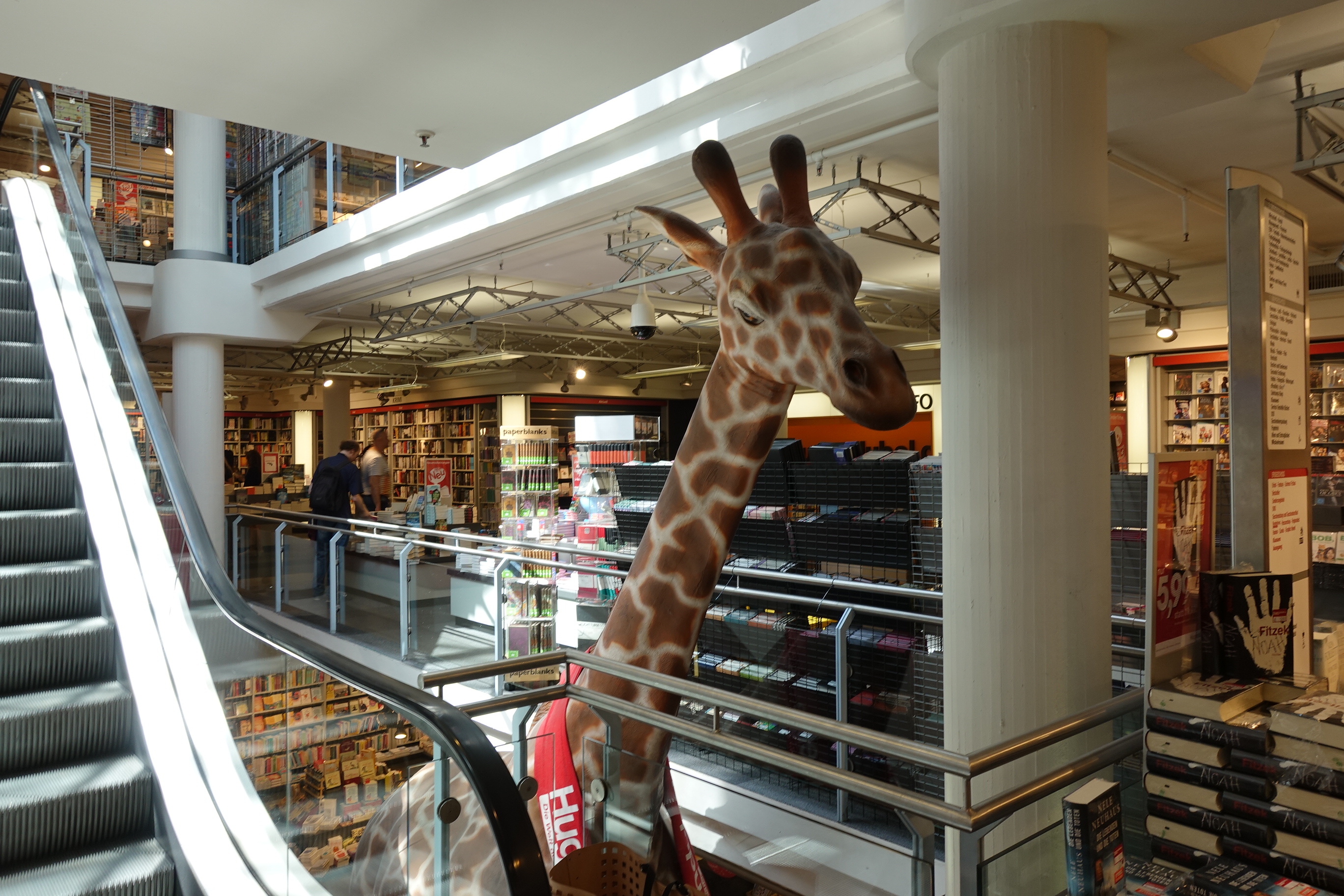 【梁旅珠專欄】書店、咖啡、文豪故居，法蘭克福文青散步_img_9